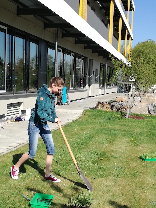 Bienenwiese2