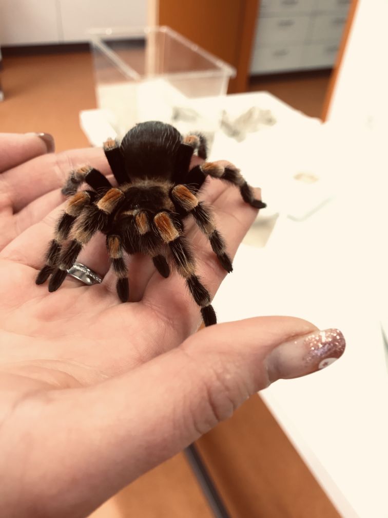 RepBio4