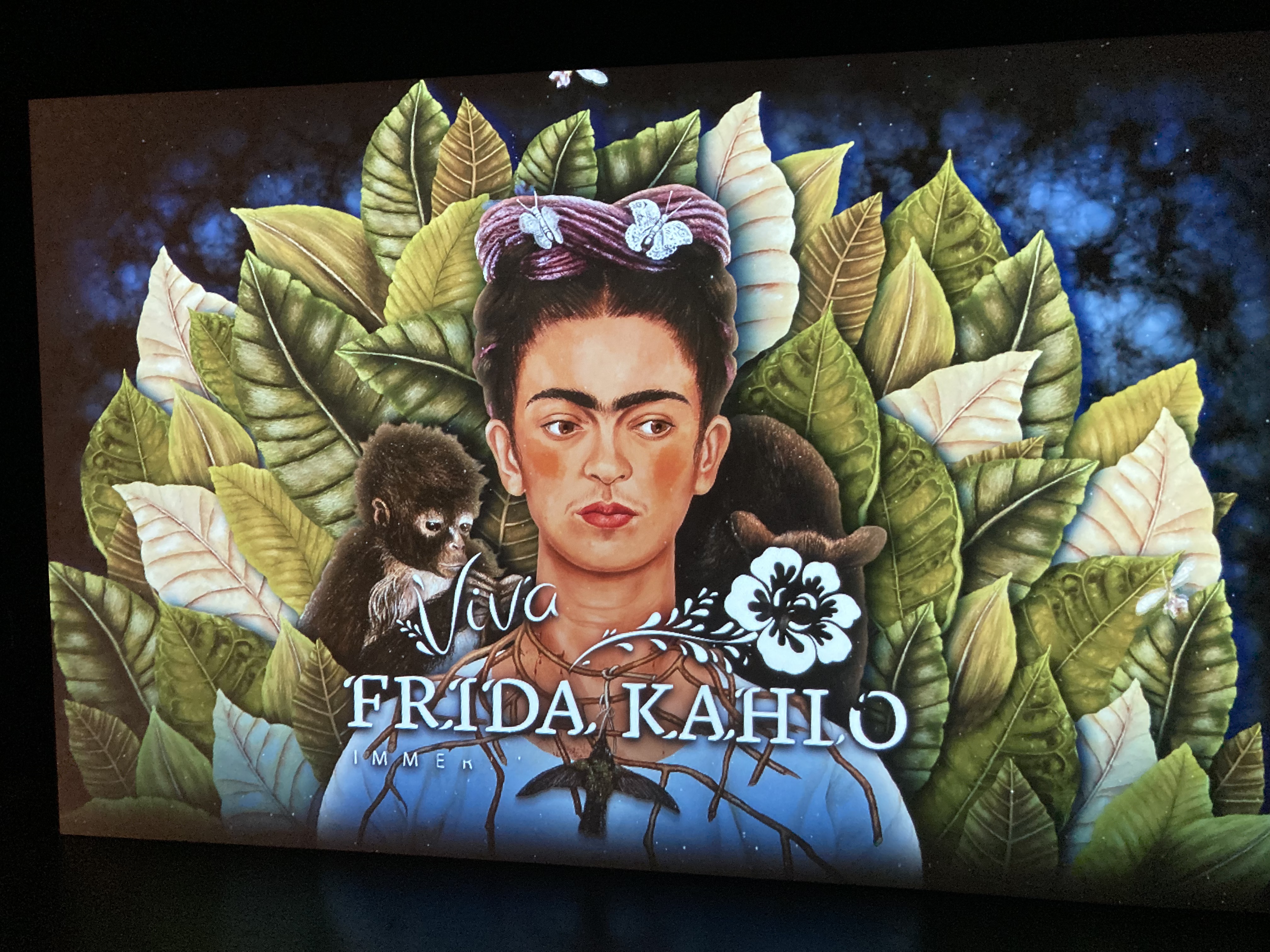 Frida1