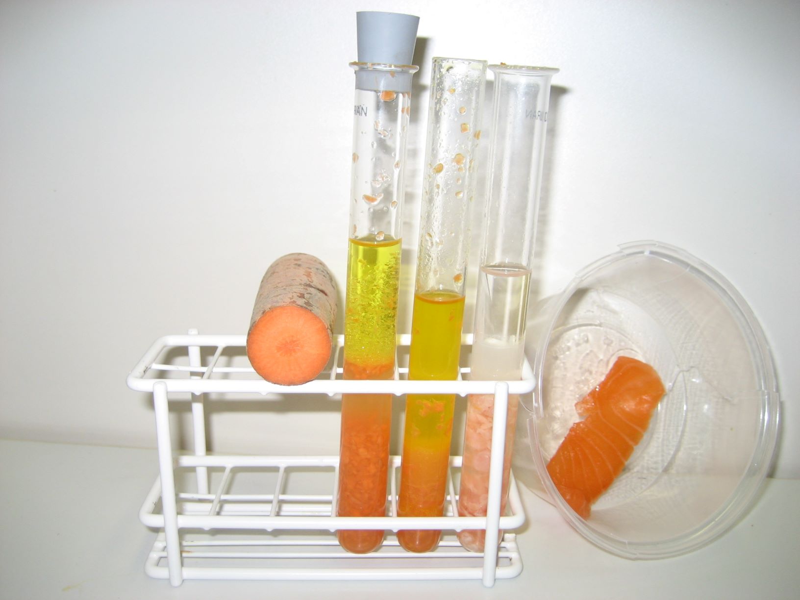 Bio8