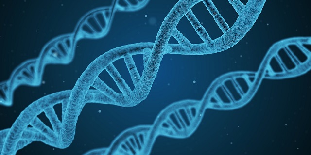 Biologie